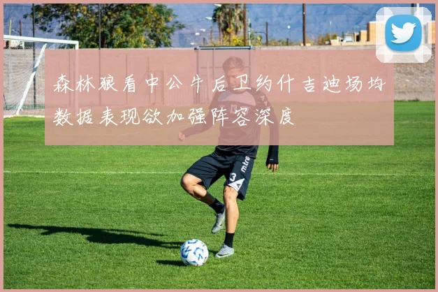 森林狼看中公牛后卫约什吉迪场均数据表现欲加强阵容深度